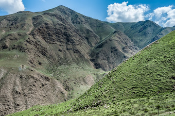 青海祁连山牧场