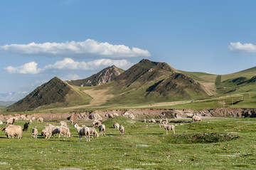 青海祁连山牧场