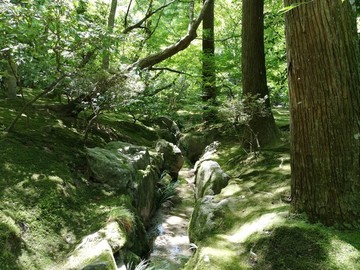 银阁寺内景