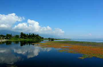 洱海