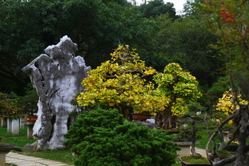 黄果树风景名胜区