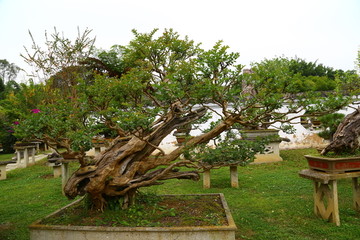 黄果树风景名胜区