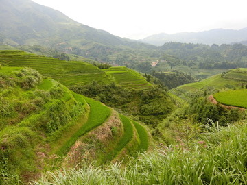 龙胜梯田