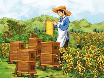 養(yǎng)蜂人插畫蜂蜜