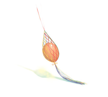 雞蛋