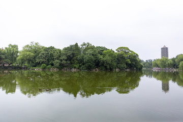 北京大学湖畔