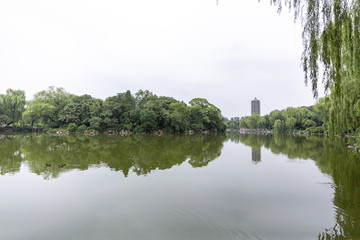 北京大学湖畔