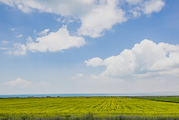 青海湖