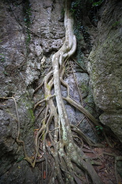 黄果树风景名胜区