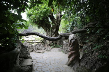 黄果树风景名胜区