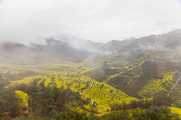 篁岭