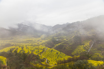 篁岭