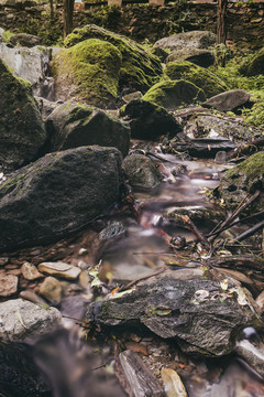 溪流溪水