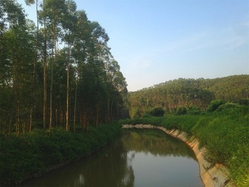 山间河流