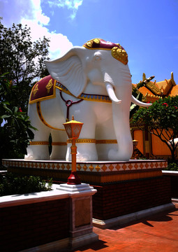 东南亚大象白象