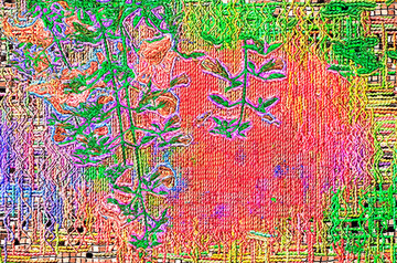 花卉地毯圖案