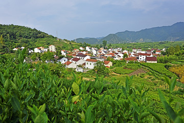 绍兴嵊州贵门乡