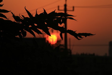 城市夕阳