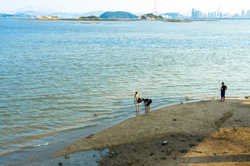 沙滩