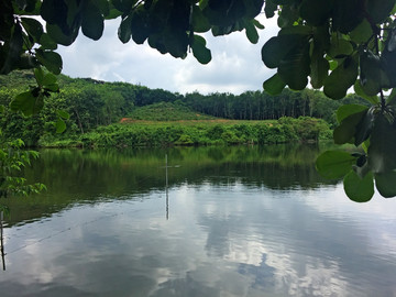 乡村风情