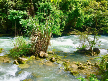 山泉河流