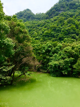 森林湖泊