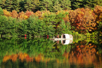 美人松湖秋季彩色森林