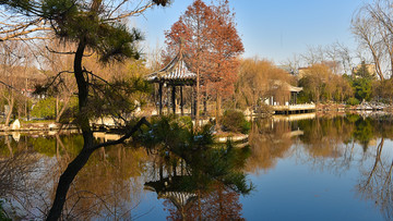 园林庭院