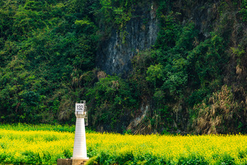 中国连州湟川三峡油菜花田