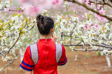 中国连州瑶族少女与梨花