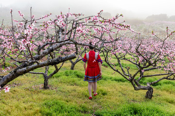 中国连州瑶族少女与桃花