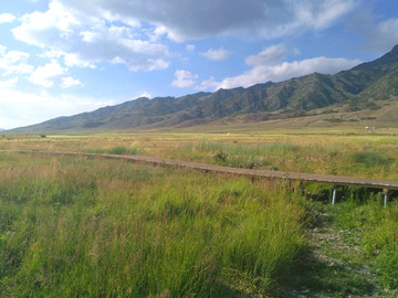 新疆赛里木湖草原游牧风情区风光