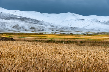 青海雪山风光