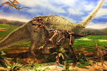 恐龙化石霸王龙