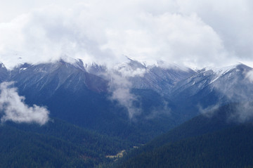 高山丘陵