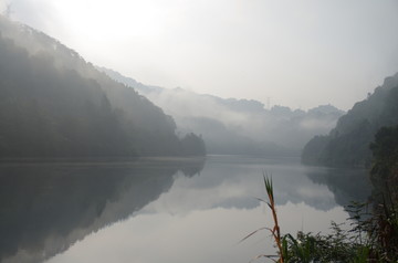 梦幻小东江