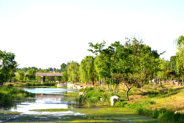 河道