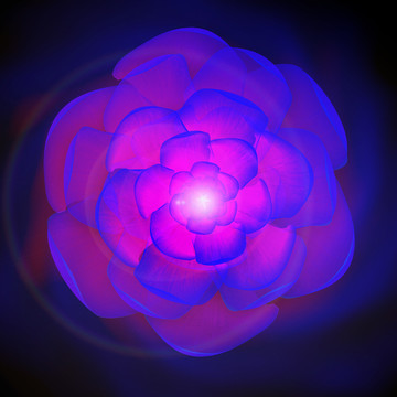 花朵背景地板畫