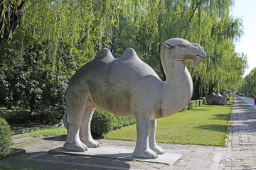 明十三陵立骆驼雕塑