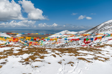 青海湖