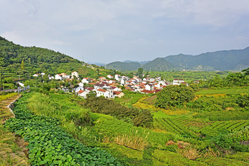 山村