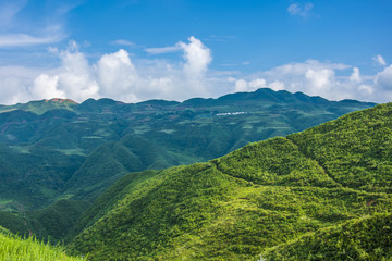 青山