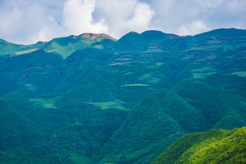 青山