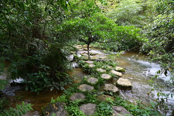 荔波小七孔景区