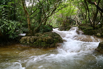 荔波小七孔景区