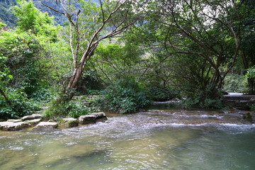 荔波小七孔景区