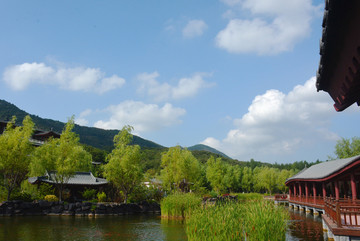 横山寺放生池一景