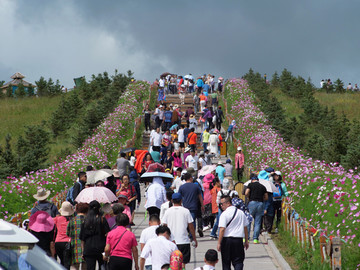 旅游景区人满为患