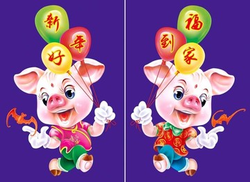 豬