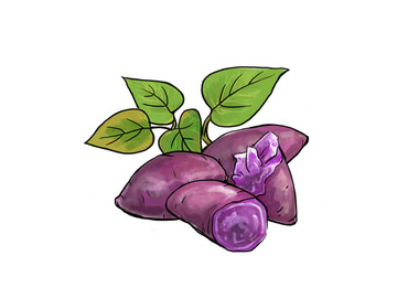 紫薯插畫